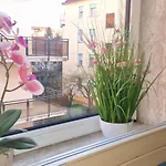 호텔 Tito 3*