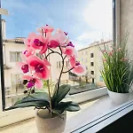Tito 3* 메스트레