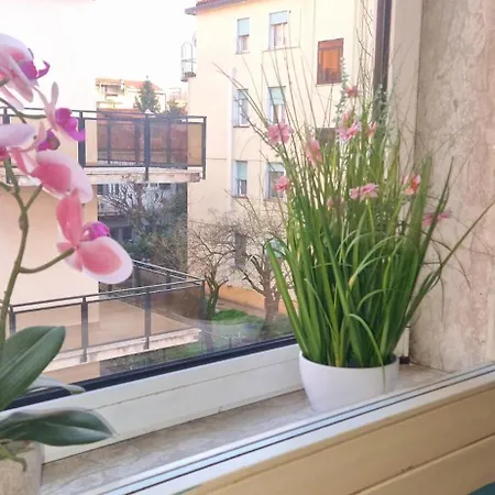 Ξενοδοχείο Tito 3*