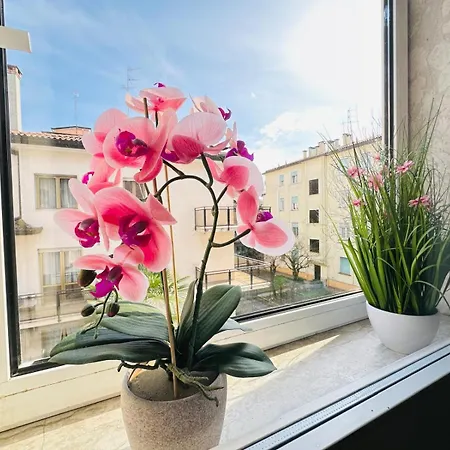 Tito 3* Μέστρε