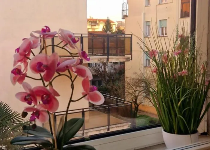 Ξενοδοχείο Tito 3*